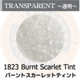 【中フリット50g】  1823 Burnt Scarlet Tint