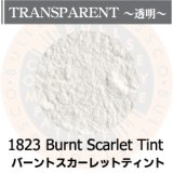 パウダー50g 1823 Burnt Scaret Tint